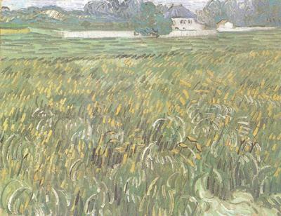 Vincent Van Gogh Wheat Field at Auvers with White House (nn04) oil painting picture
